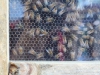 IMG_4760_[800x600]_[640x480]