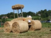 IMG_4780_[800x600]_[640x480]